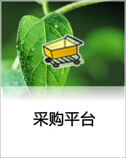 网络采购平台