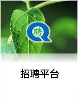 网络招聘平台