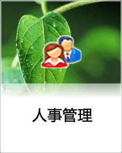 人力资源和工资管理