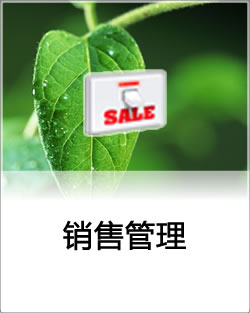 销售和订单管理