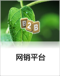 网络销售平台